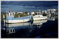 Mornac Narcisse duo